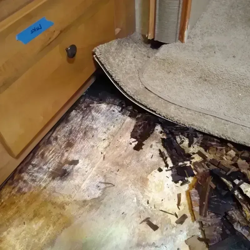 Wood Floor Water Damage in Vernon Hills, IL